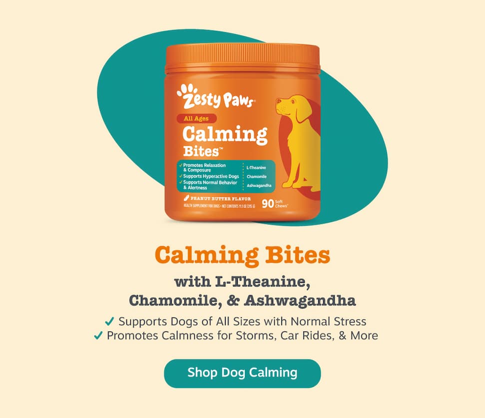 Calming Bites with L-Theanine, Chamomile, & Ashwagandha. Supports dogs of all sizes with normal stress. Promotes calmness for storms, car rides, and more. Shop Dog Calming.