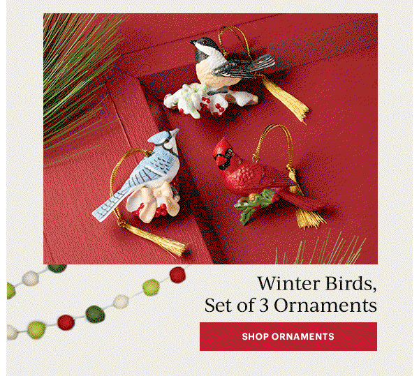 Winter Birds, Set of 3 Ornaments  [SHOP ORNAMENTS]
