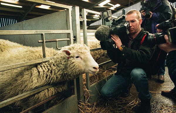 People with cameras surround Dolly as she is unveiled to the media at the Roslin institute near Edinburgh, Scotland.