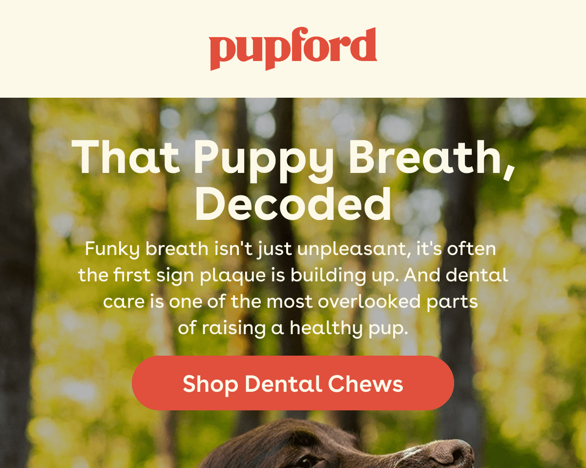 Dental chews 