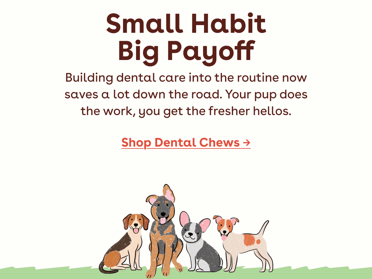 Shop dental chews