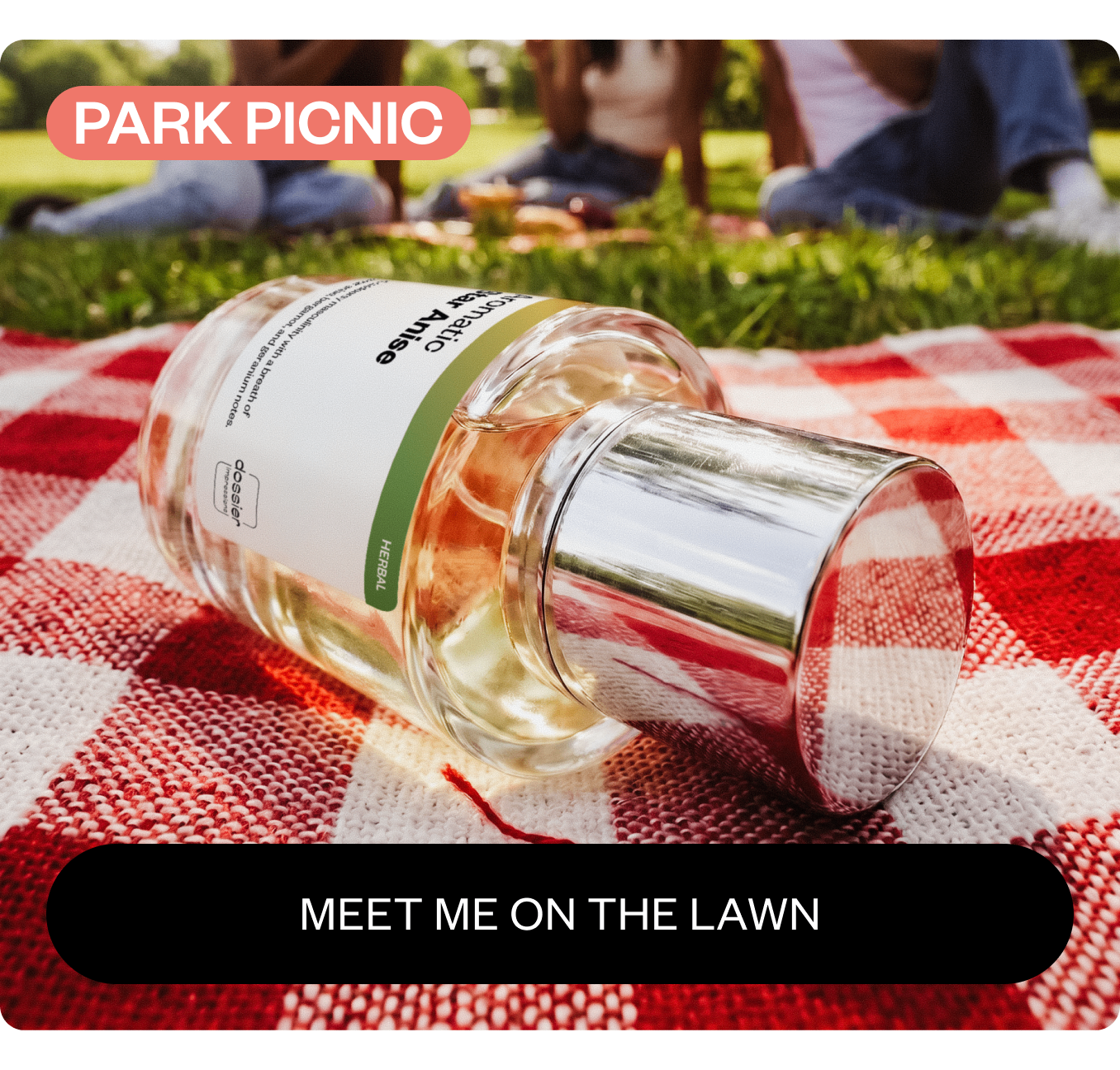 Park Picnic