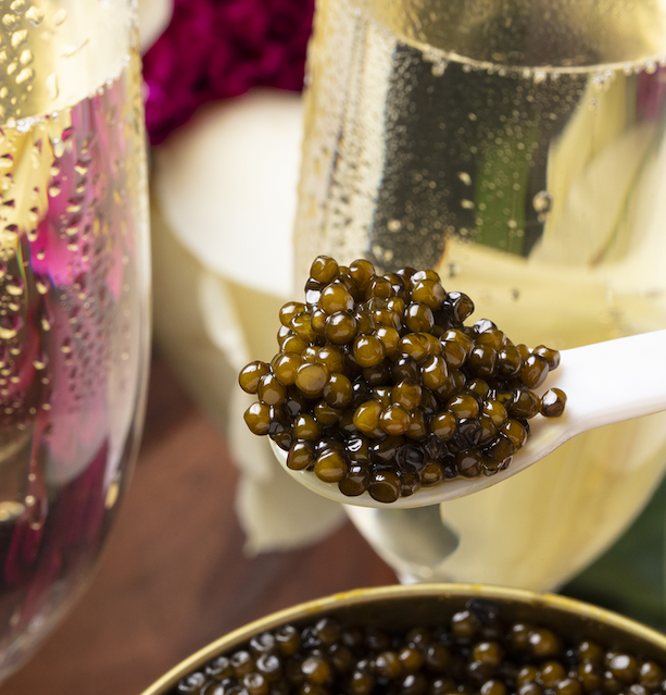 Imperia Caviar