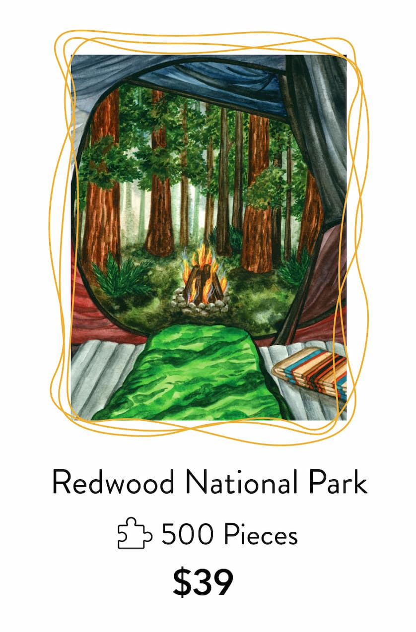 Redwood National Park by Kendra VanDruff