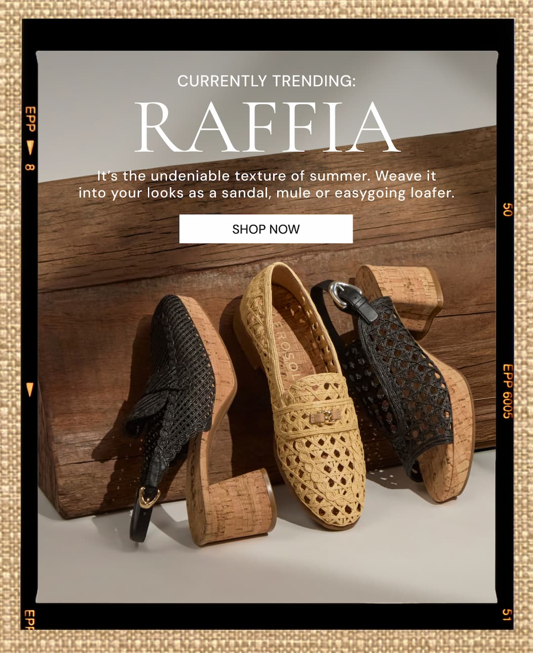 Raffia Currently Trending