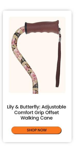 Lily & Butterfly
