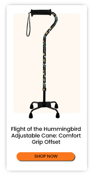 Flight of the Hummingbird