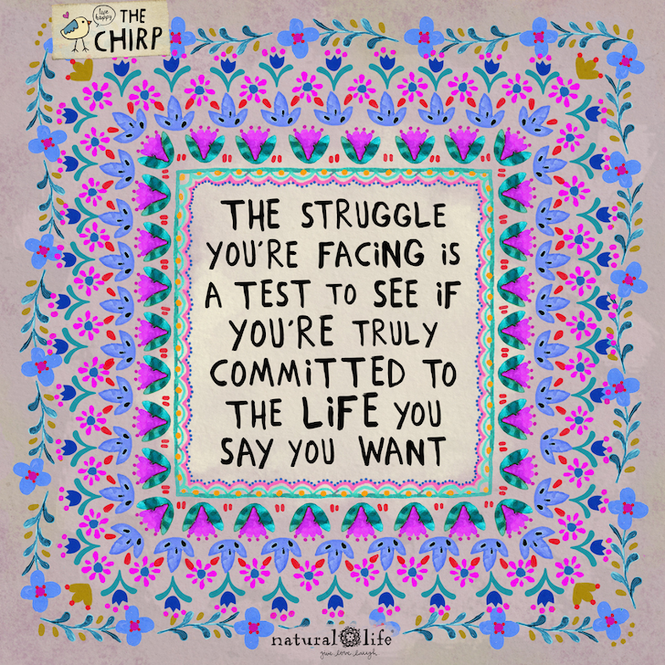 chirp_homepage