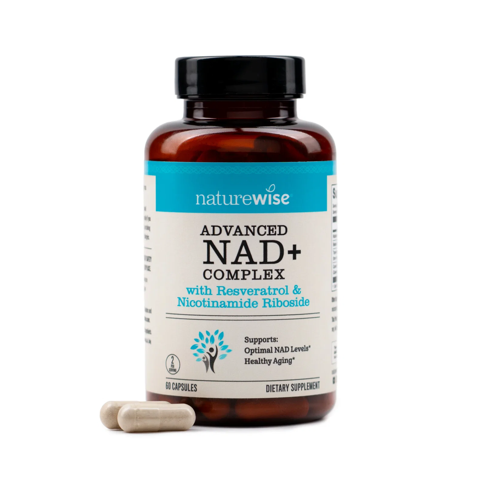 Image of NAD+ Support Complex