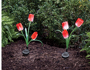 Set of 2 Solar Tulip Lights