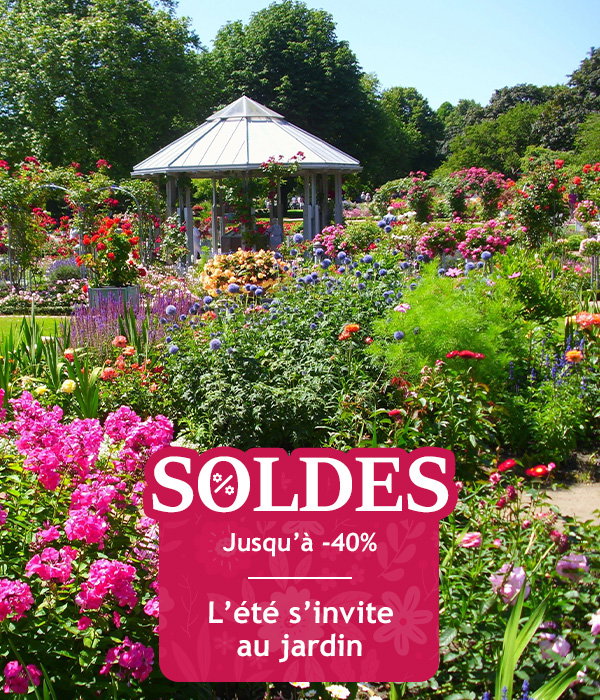 Les soldes d’été jusqu’à -40% de remise !