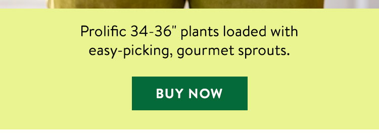 Green Gems, Brussels Sprouts