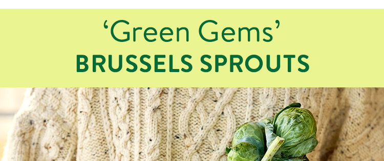 Green Gems, Brussels Sprouts