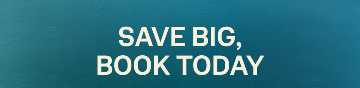 Save Big Book Today
