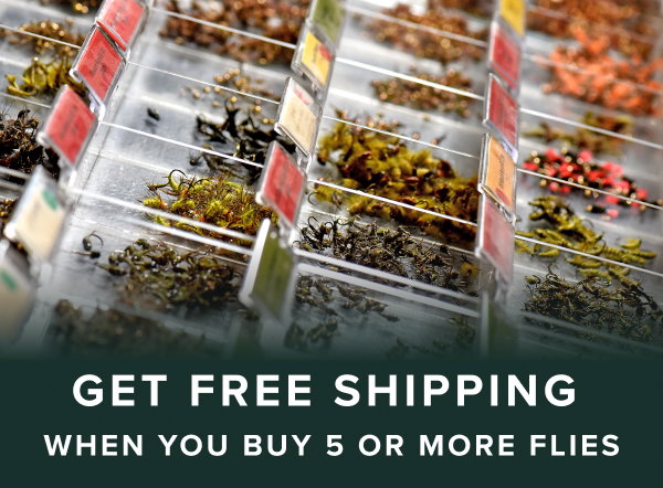 Free shipping on your order when you buy 5 or more flies