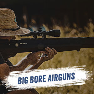 Big Bore Airguns