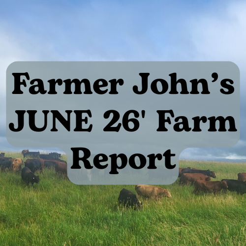 John Wood on the Farm