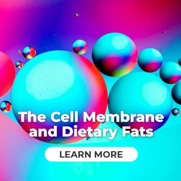 Lifestyle Feature: The Cell Membrane: How Dietary Fats Influence Cellular Communication