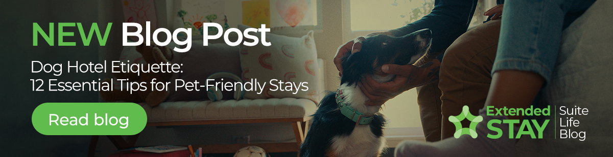 12 Essential Tips for Pet-Friendly Stays