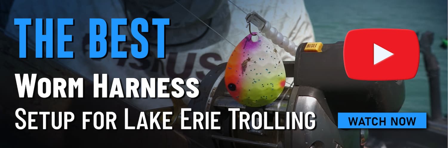 The Best Worm Harness Setup for Lake Erie Trolling Youtube watch now button
