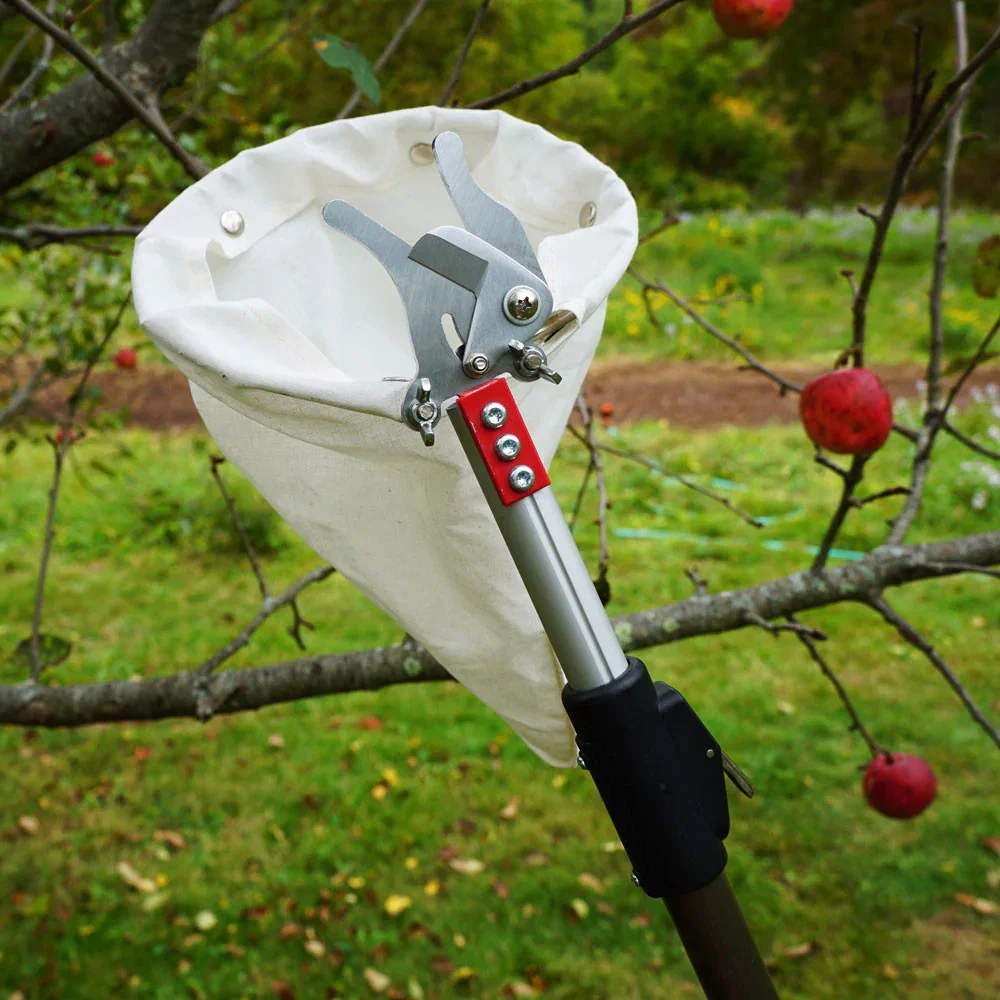Image of Telescopic Fruit Picker