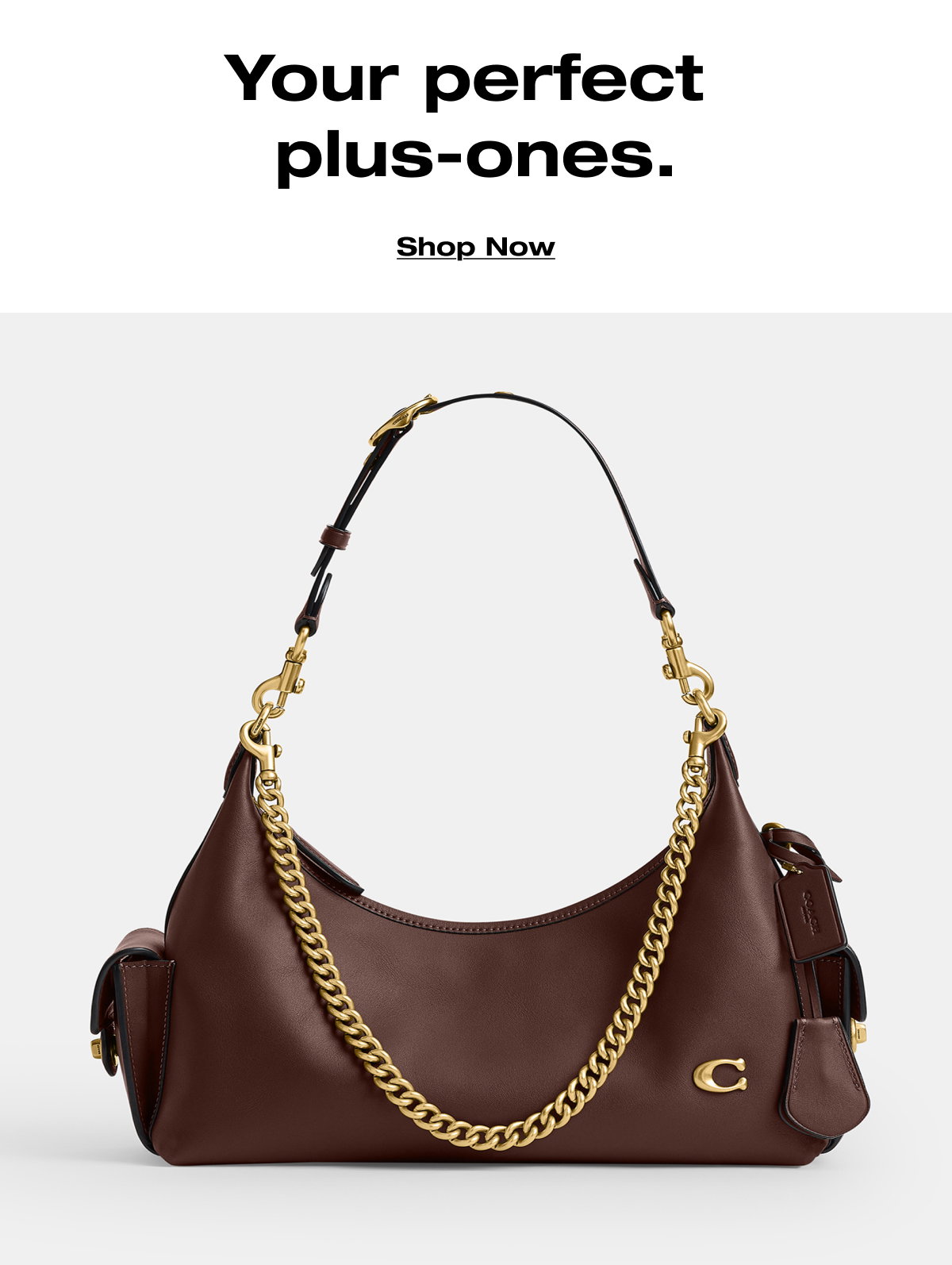 Your perfect  plus-ones. Shop Now