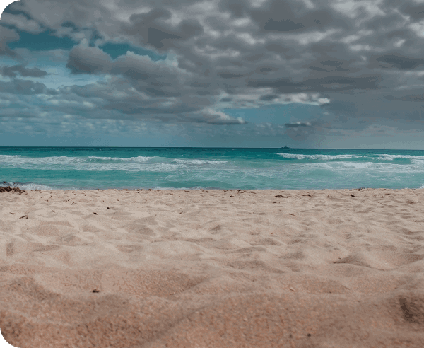 At the beach
