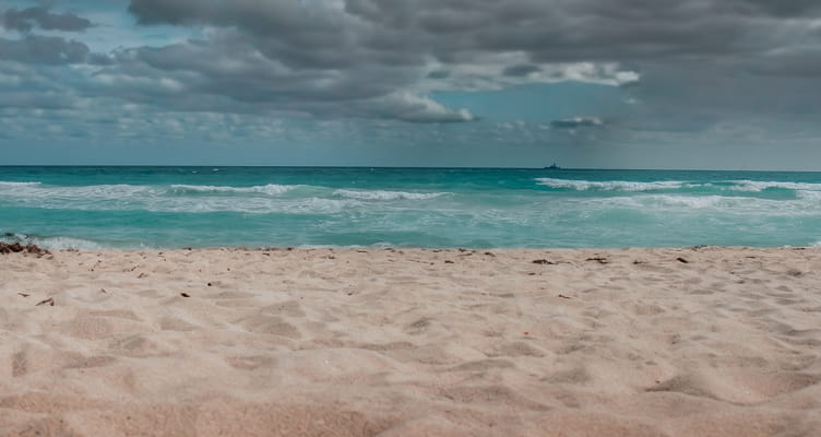 At the beach