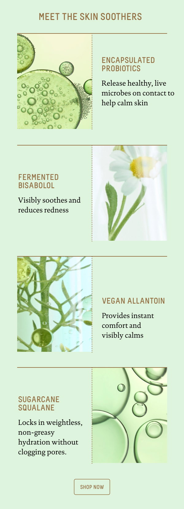 Meet the skin soothers