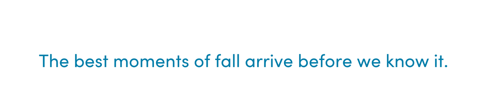 Fall Starts Here