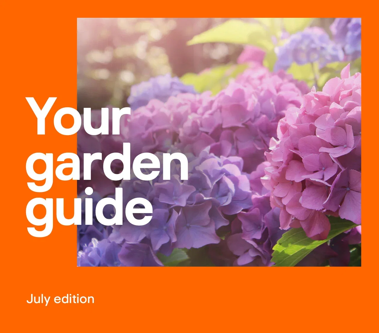 Your garden guide July edition