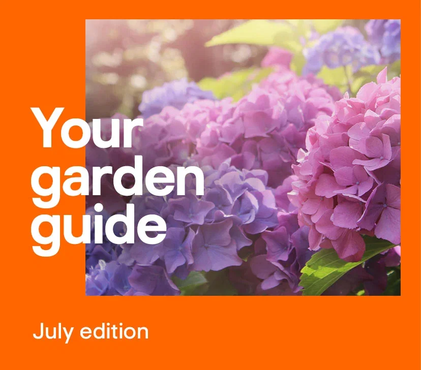 Your garden guide July edition