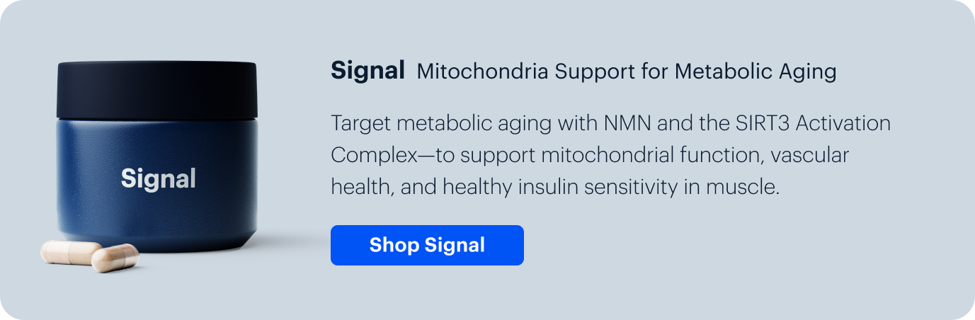Signal Mitochondria Support for Metabolic Aging | Shop Signal