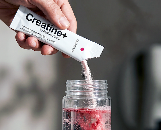 Creatine+ by Elysium Health