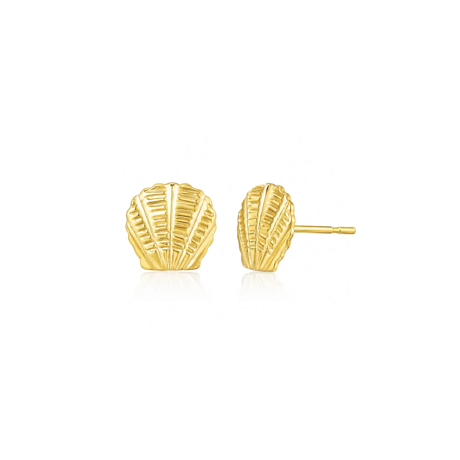 Image of Seashell Stud Earrings