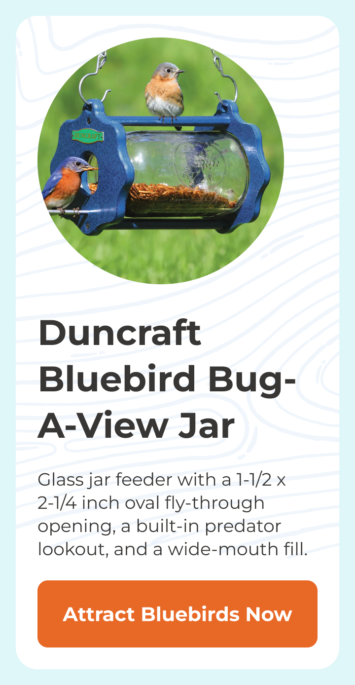 Duncraft Bluebird Bug-A-View Jar