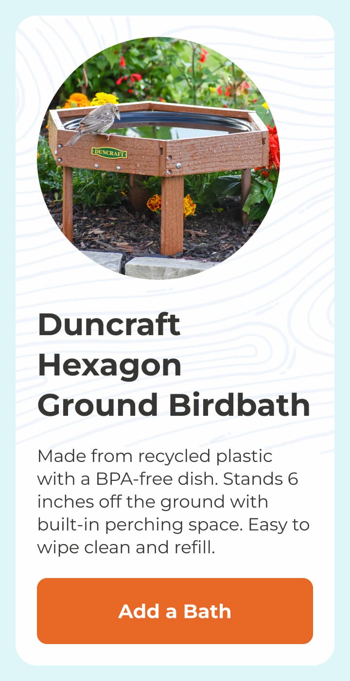 Duncraft Hexagon Ground Birdbath