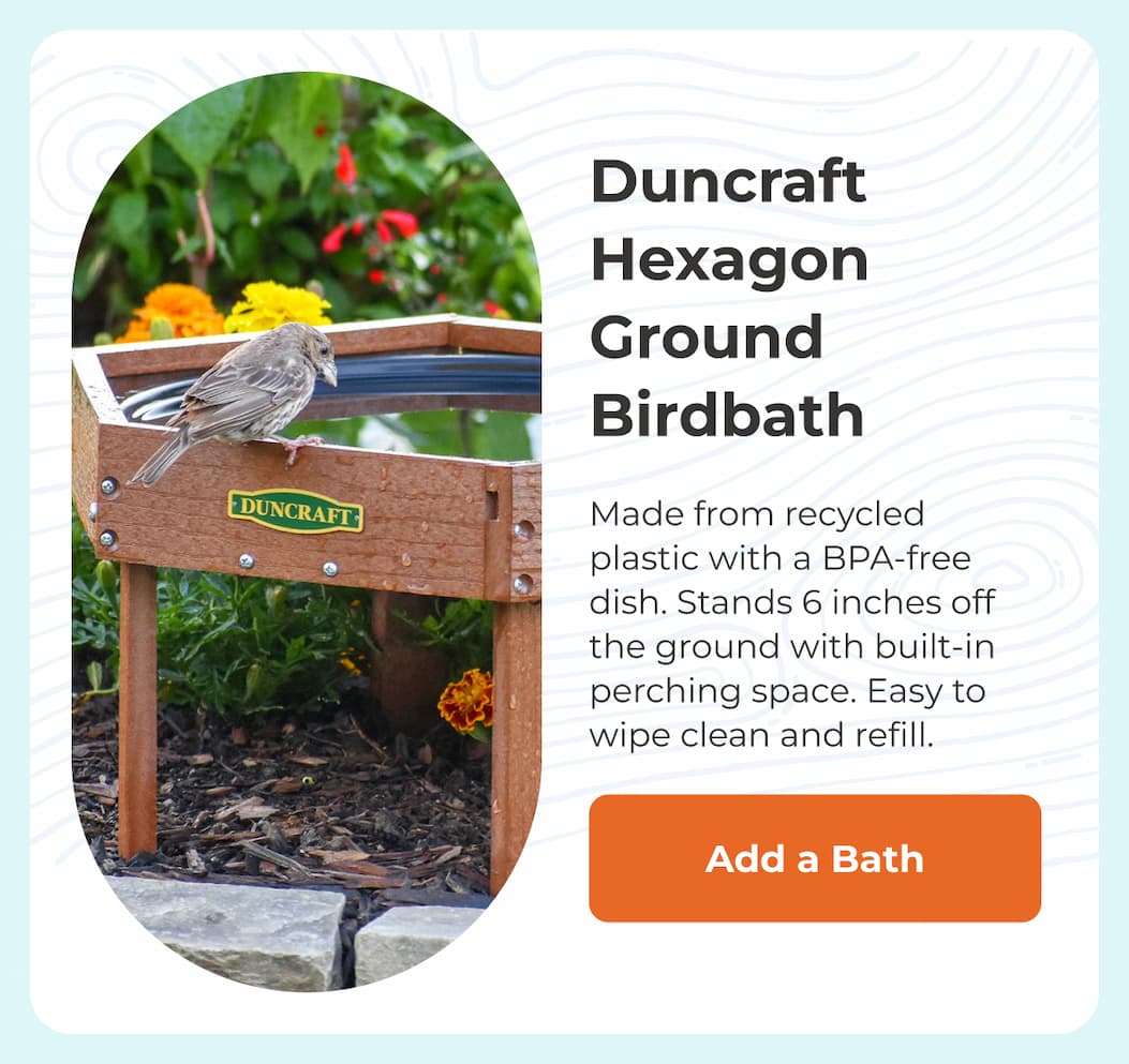Duncraft Hexagon Ground Birdbath