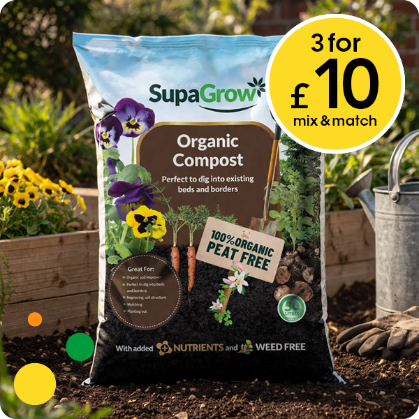 3 for £10 mix & match