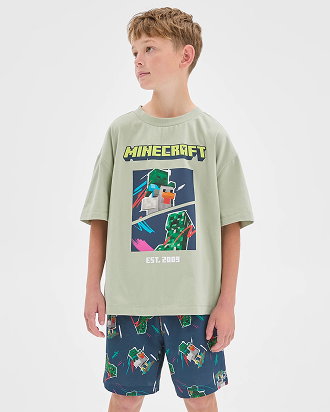 Boys 7-16 Minecraft Australian Cotton PJ set