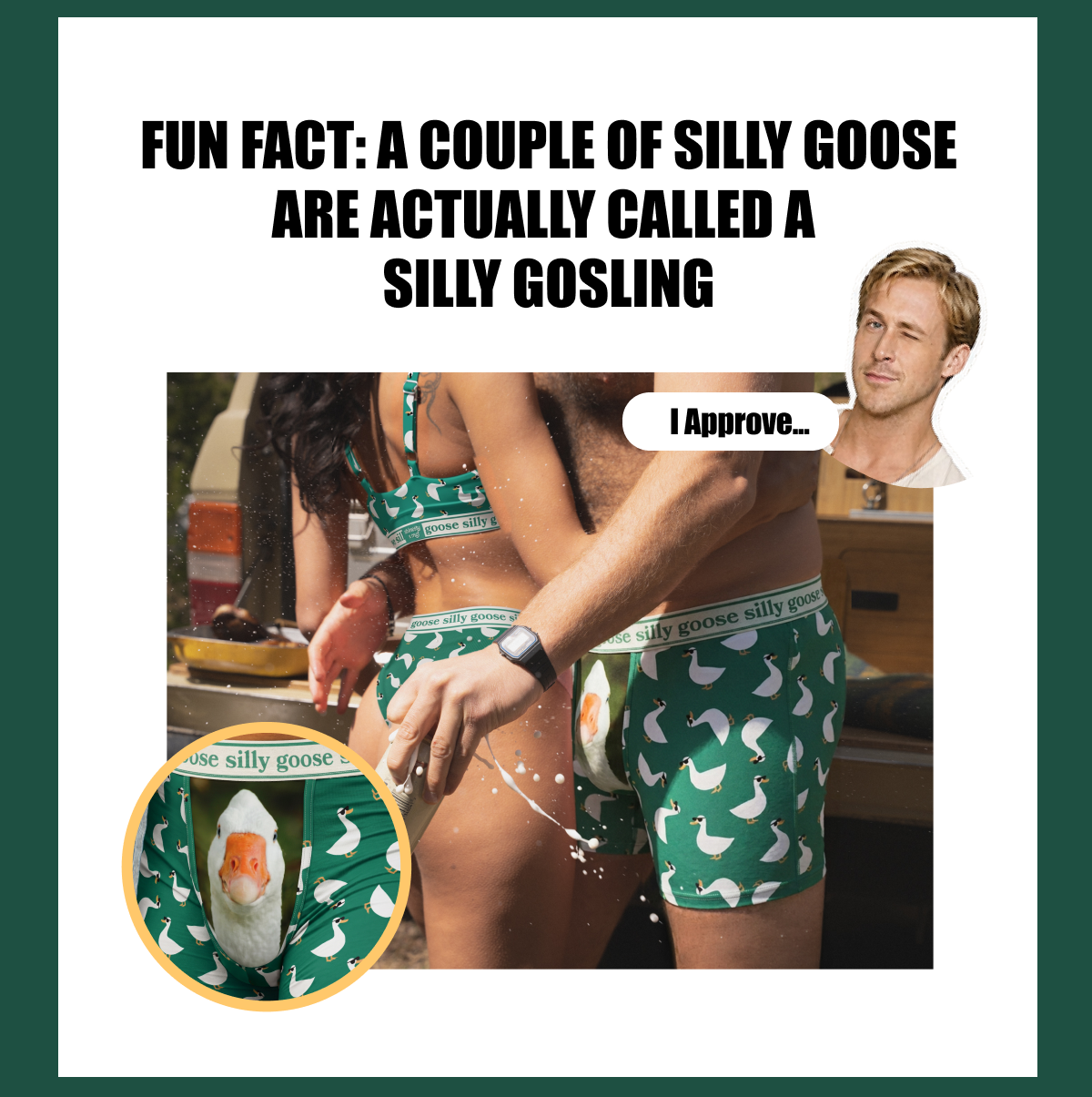 Fun fact: a couple of silly goose are actually called a silly gosling. I approve