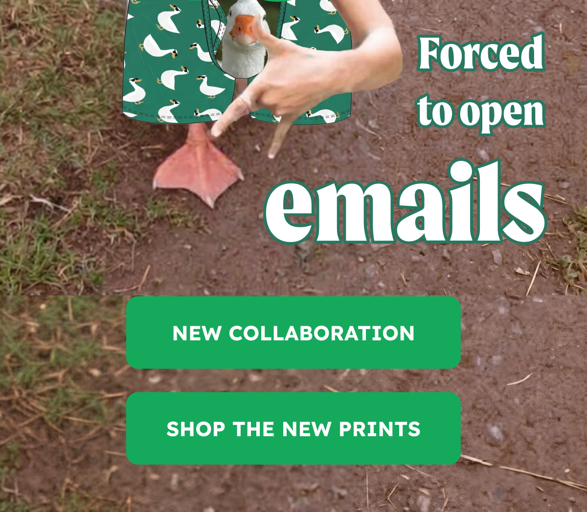Born to be a silly goose. Forced to open emails.