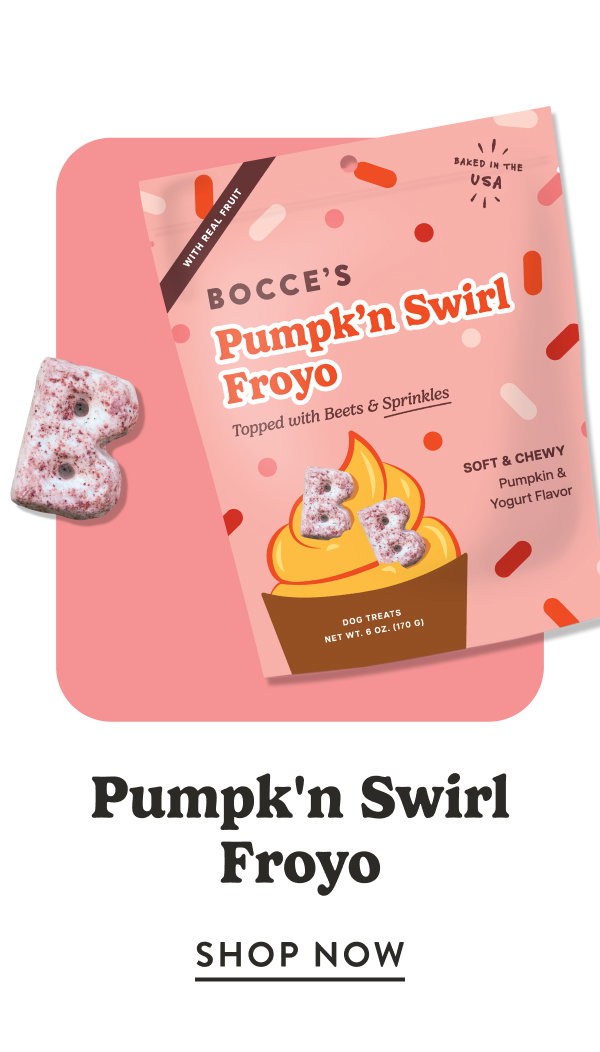 Shop Pumpk'n Swirl Froyo