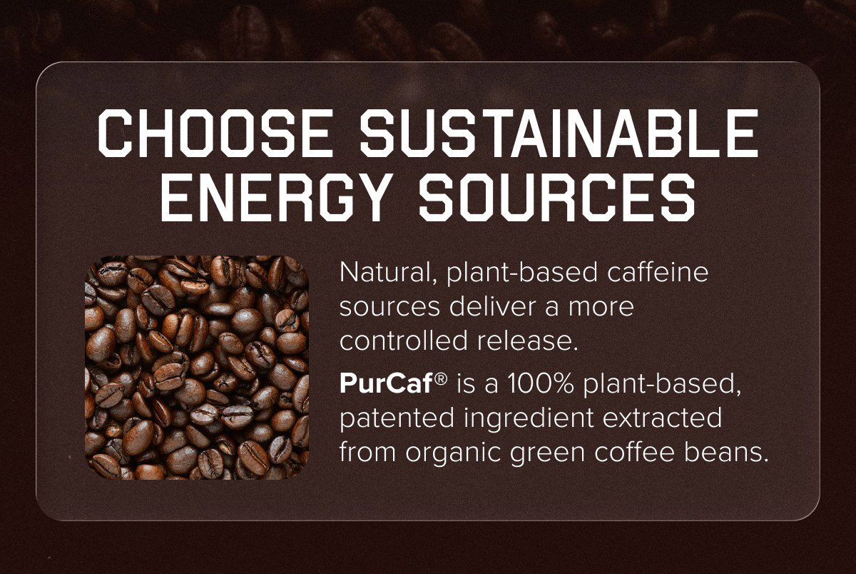 CHOOSE SUSTAINABLE ENERGY SOURCES