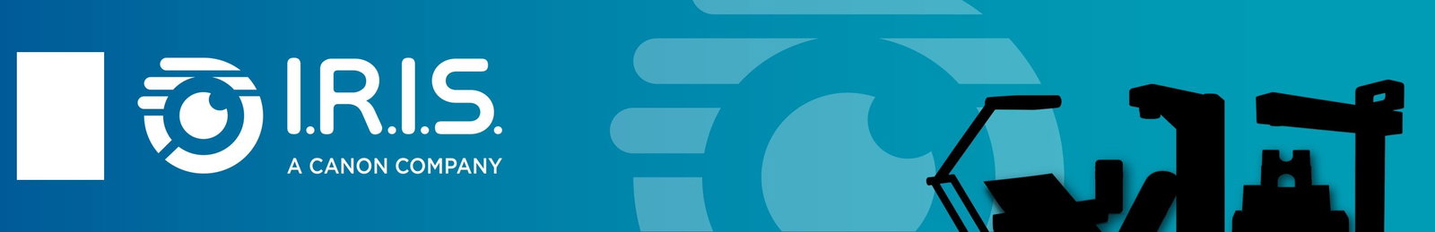 Logo IRIS