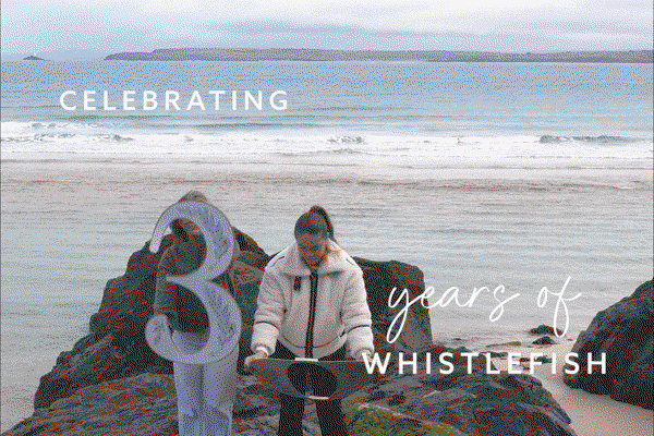 Celebrating 30 years of Whistlefish with two people on Cornish rocks overlooking the sea.