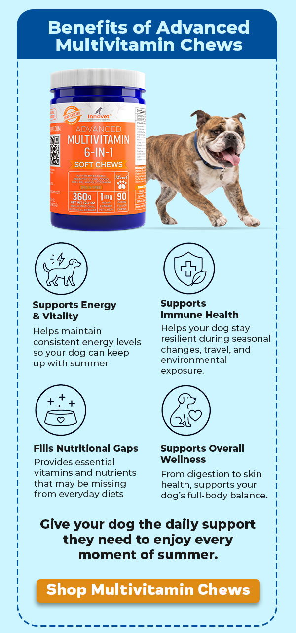 Shop Innovet Pet Multivitamin Chews