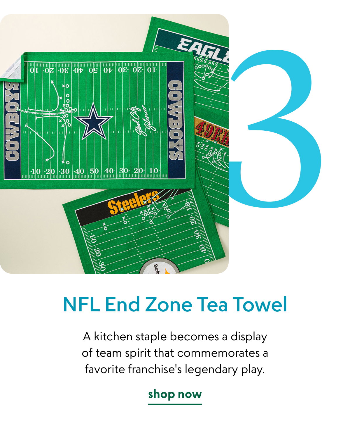 nfl-end-zone-tea-towel