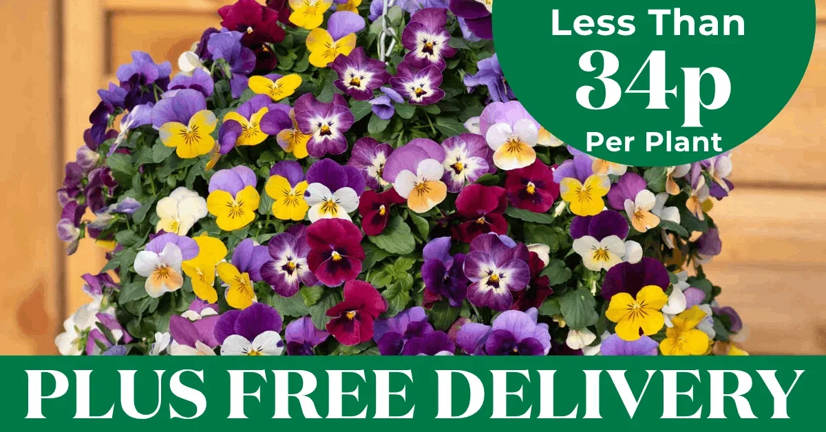 Less Than 42p Per Plant + Free Delivery