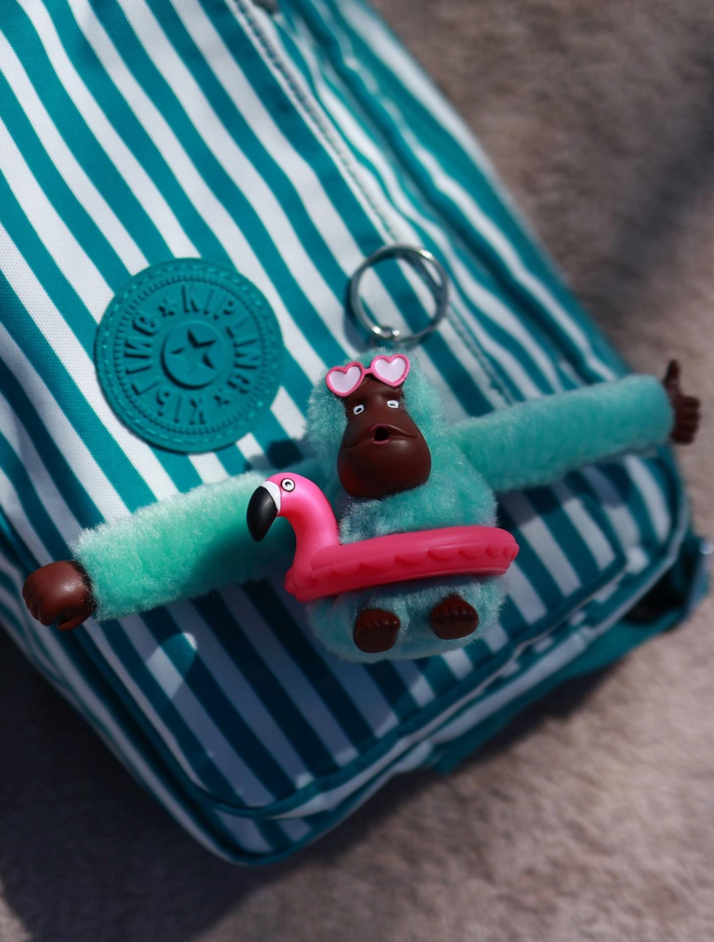 BEACH FUN MONKEY